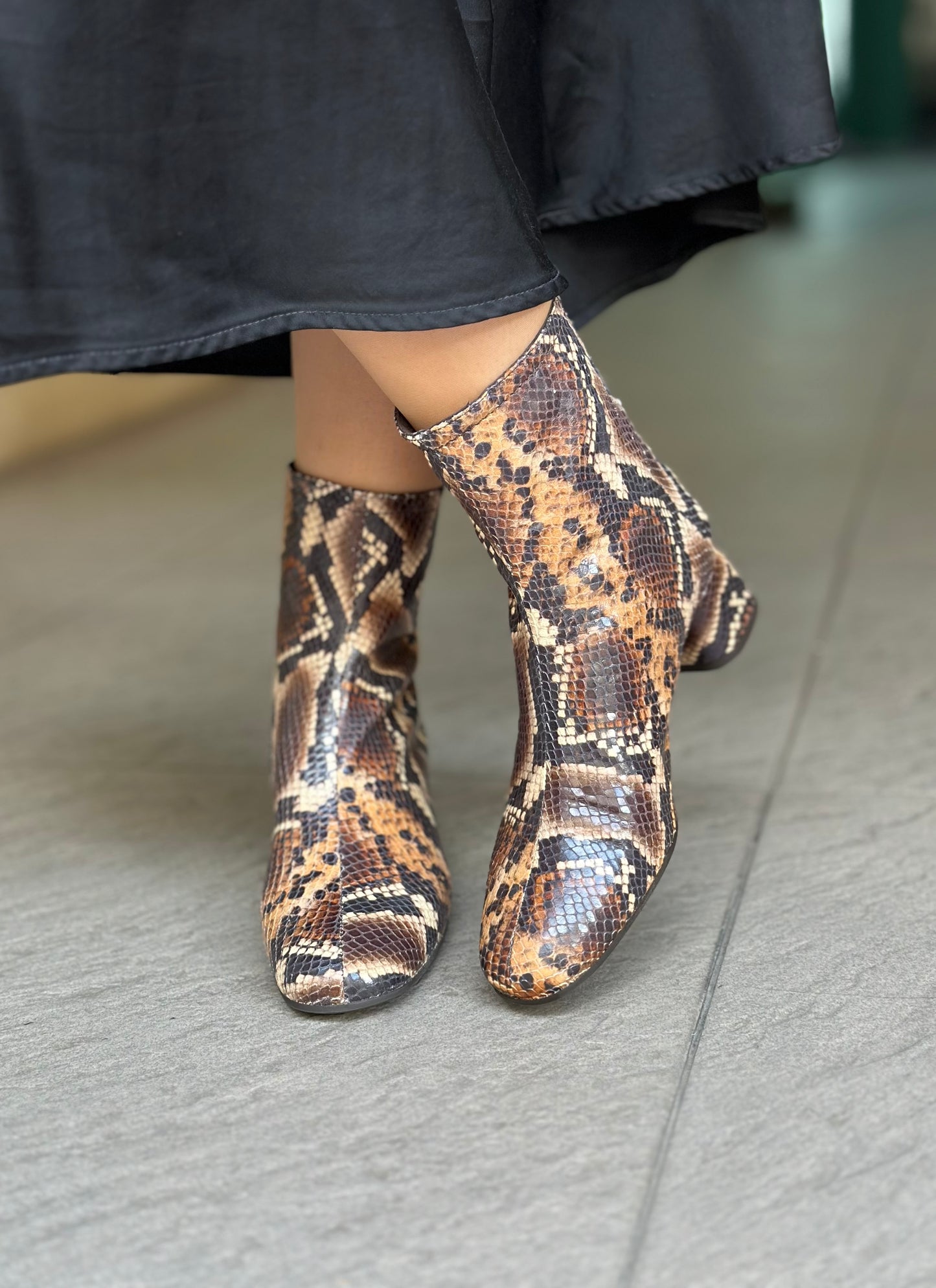 Bottines PREDRO MIRALLES 29262-04 PYTON TESTA femme